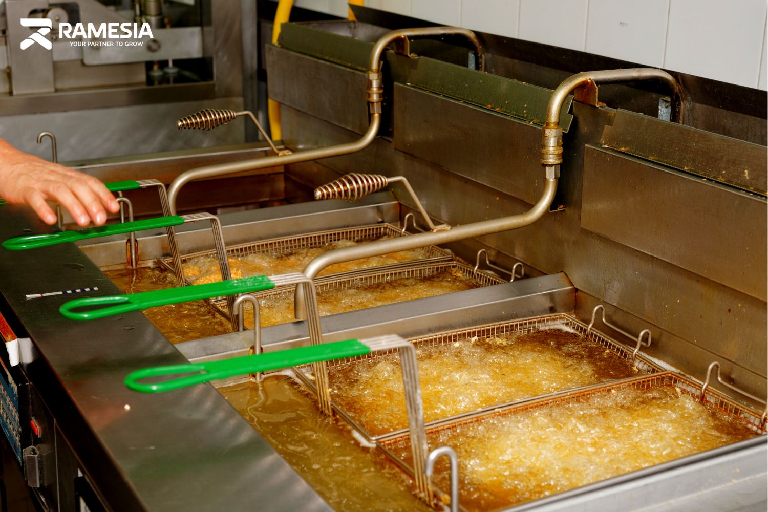Deep Fryer Restoran