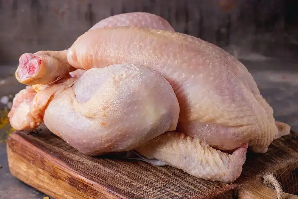 Ayam segar untuk proses pengolahan