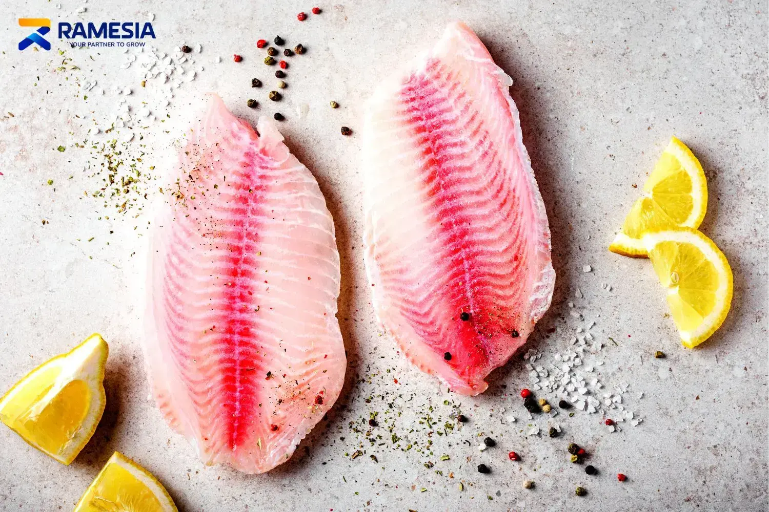 Ikan fillet untuk bahan olahan