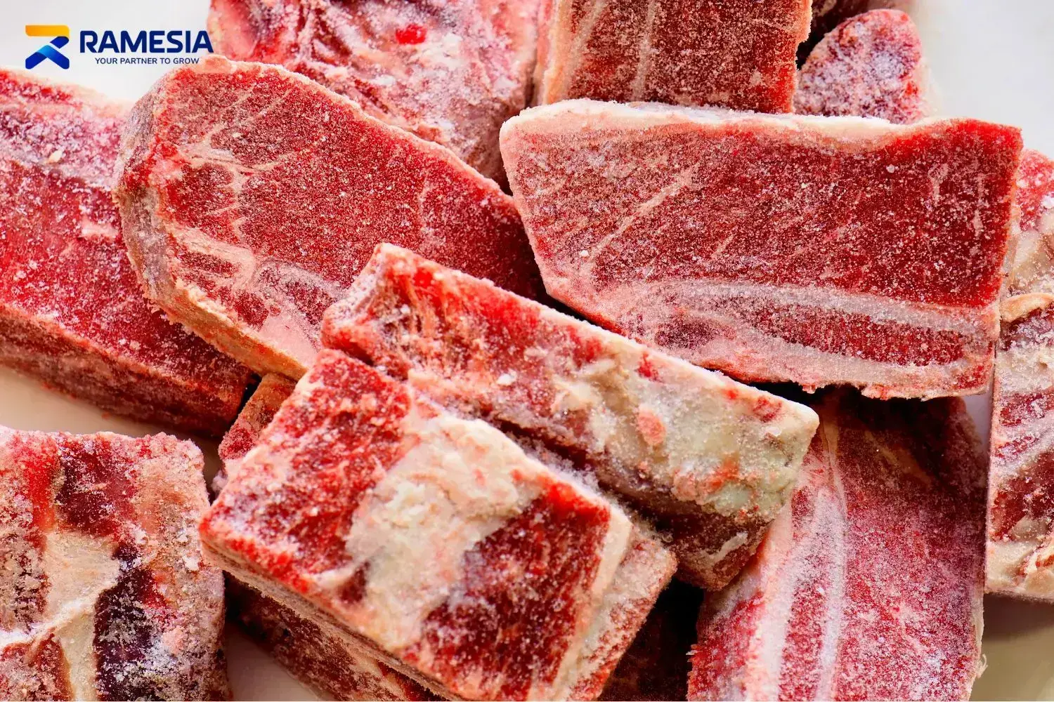 Daging beku untuk proses pemotongan bone saw