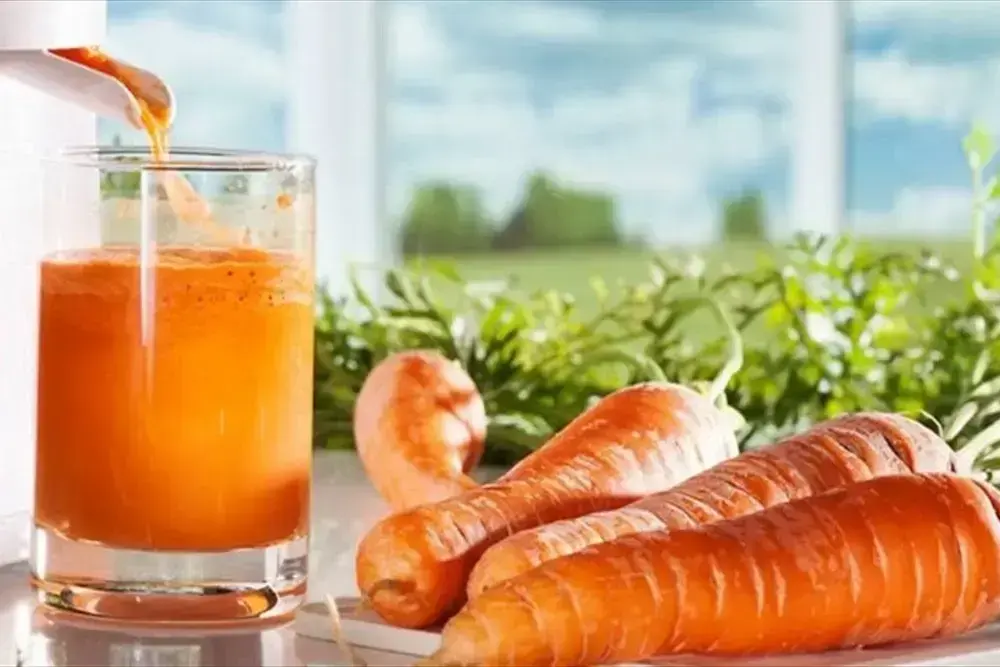 Ekstrak Wortel Sari wortel hasil juice extractor