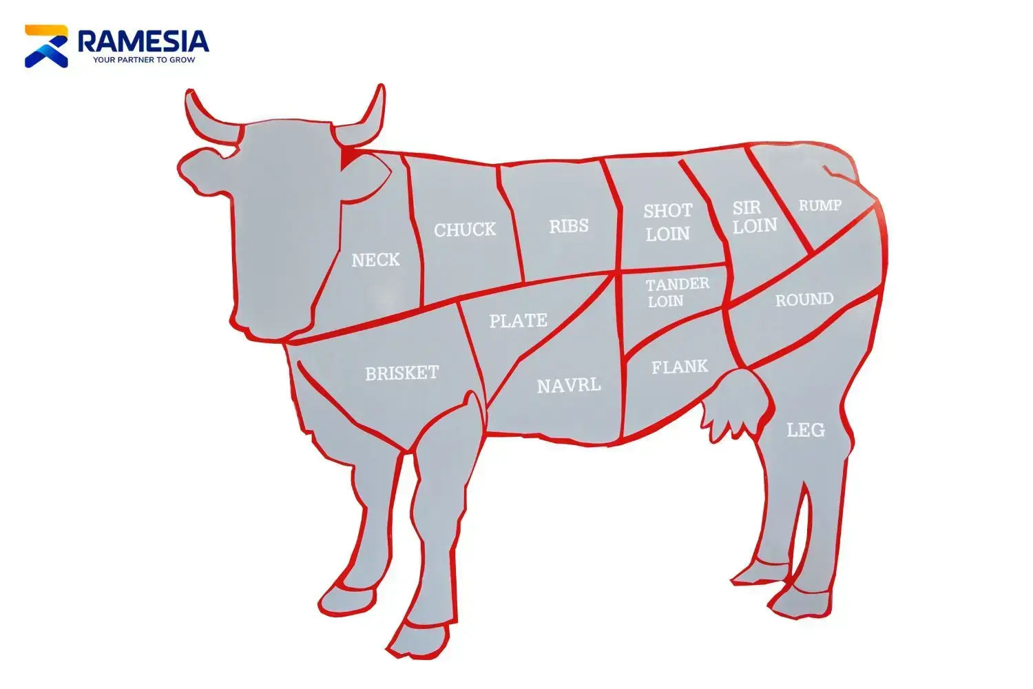 Bagan Daging Sapi Bagan bagian daging sapi untuk bahan bakso