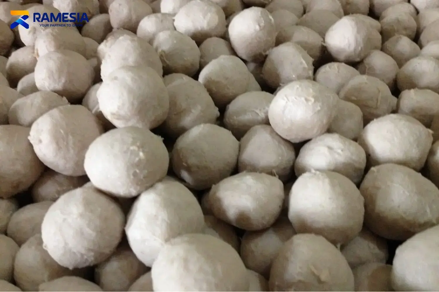 Bakso Sapi Bakso sapi sebagai hasil olahan mesin bakso
