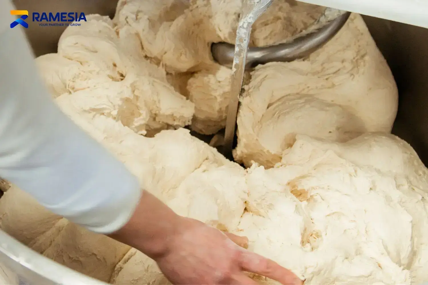 Adonan Roti Spiral Mixer Adonan roti untuk proses pencampuran dengan spiral mixer