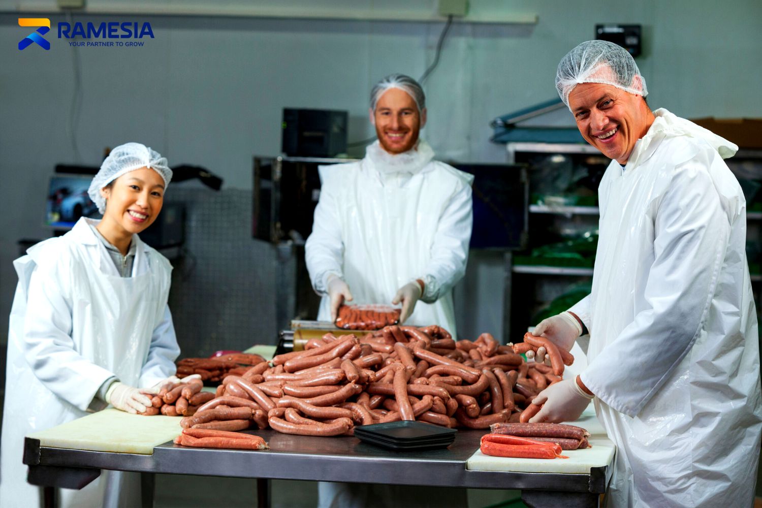 Pabrik Pembuat Sosis Pabrik Pembuat Sosis