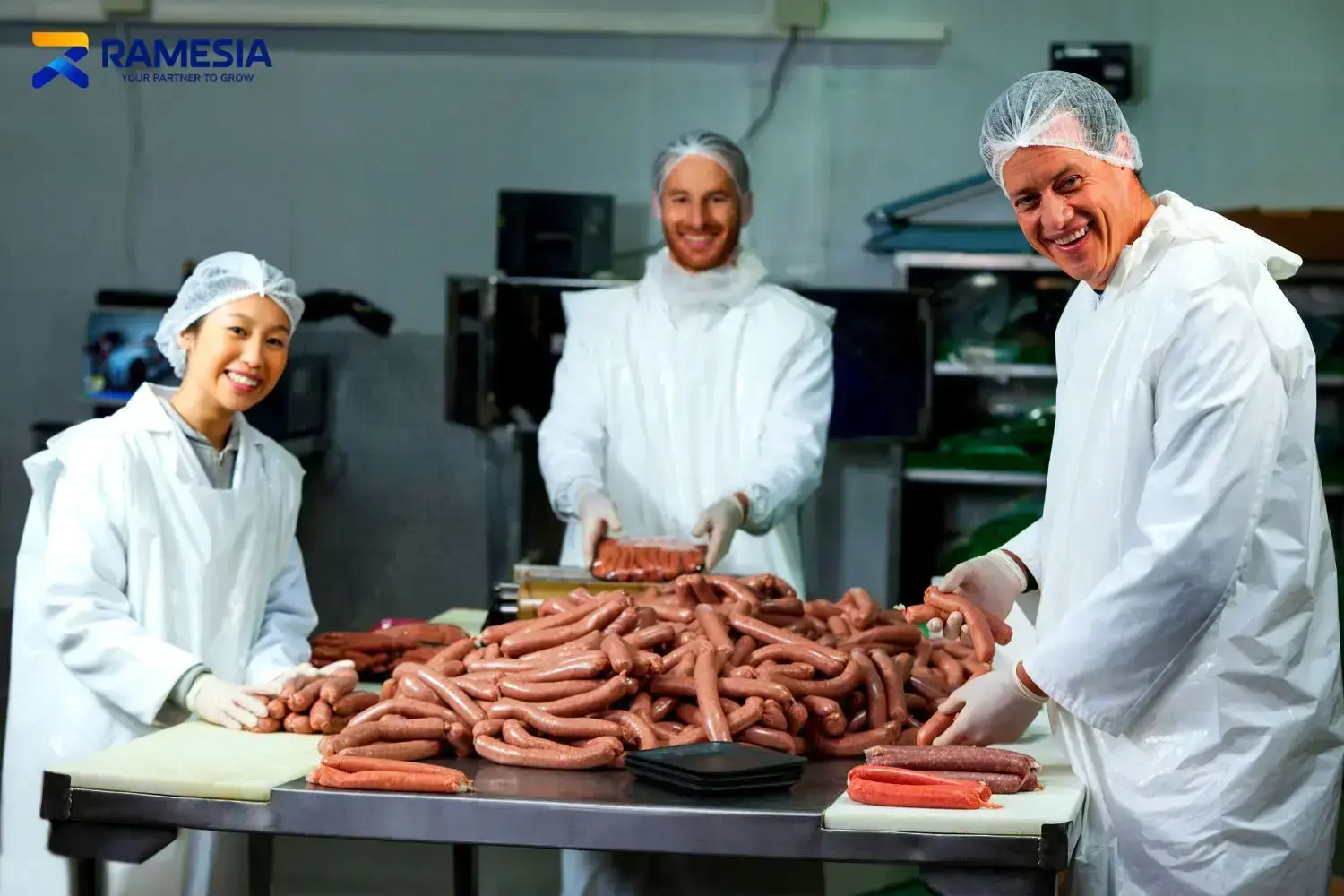 Pabrik Pembuat Sosis Pabrik pembuat sosis untuk produksi skala usaha