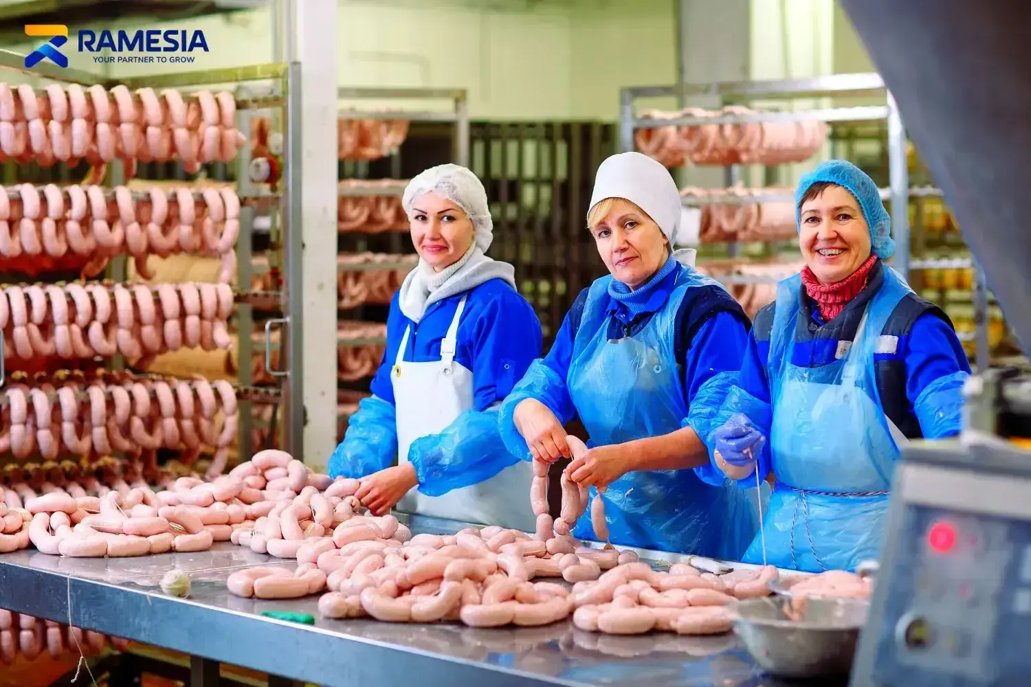 Pabrik Sosis Proses produksi sosis di pabrik