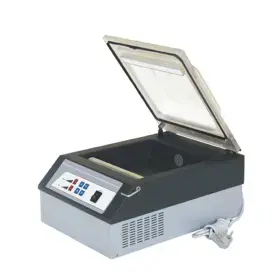 RAMESIA Vacuum Packaging RMX DZ250