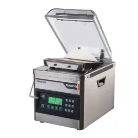 Vacuum Packager RMX DDZ-P260