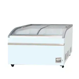 GEA Sliding Curve Glass Freezer SD-500BY