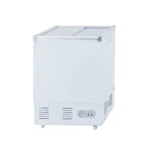 GEA Sliding Flat Glass Freezer SD-100