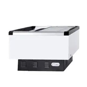 GEA Sliding Flat Glass Freezer SD-406BP