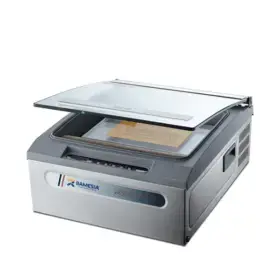 RAMESIA Vacuum Packaging DZ-310H