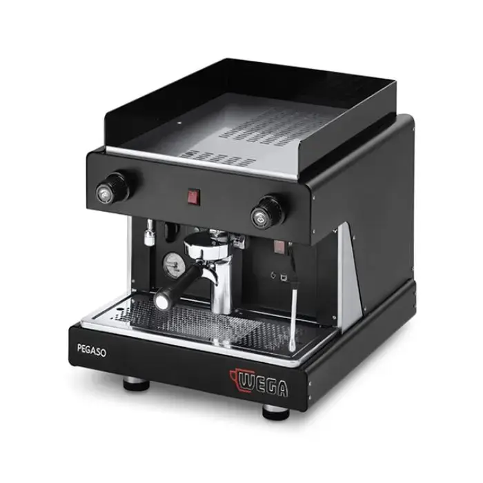 WEGA Pegaso EVD 1 Group