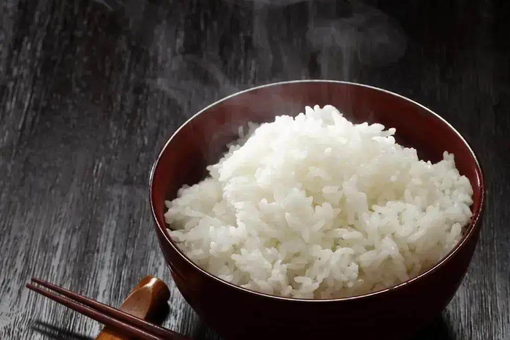 Nasi hangat dari rice cooker besar
