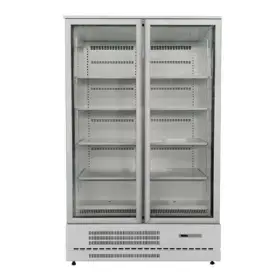 GEA Upright Glass Door Freezer BF120CP-76