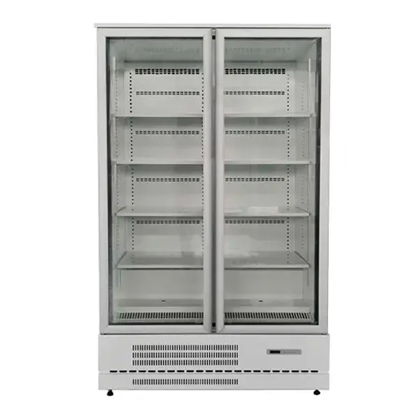 GEA Upright Glass Door Freezer BF120CP-76