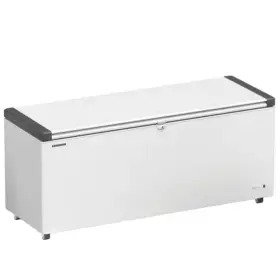 LIEBHERR Chest Freezer EFL 6005