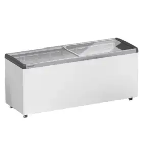LIEBHERR Flat Glass Freezer EFE 6002