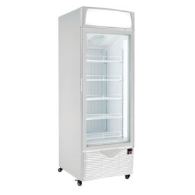 GEA Upright Glass Door Freezer FD-LD67