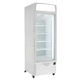 GEA Upright Glass Door Freezer FD-LD67