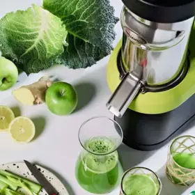 SANTOS Cold Press Juicer Nutrisantos 65 Ramesia