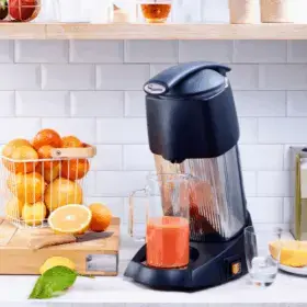 SANTOS - Lever Juicer Evolution 70 Photo