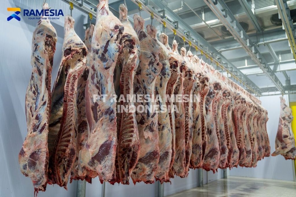 Cold Storage Freezer
