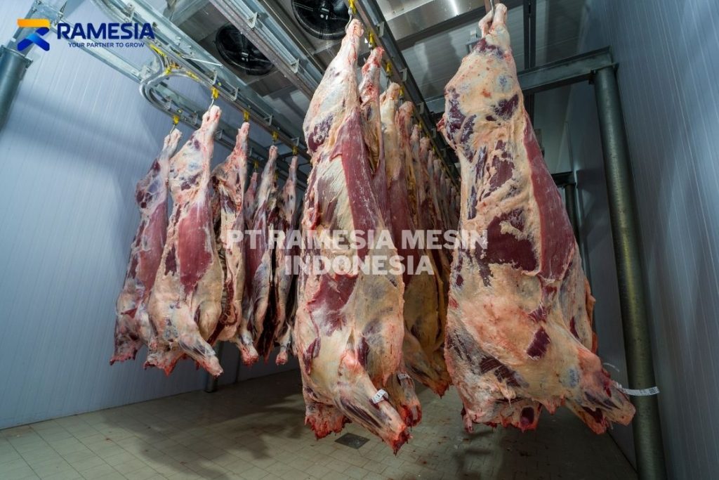 Cold Storage Freezer