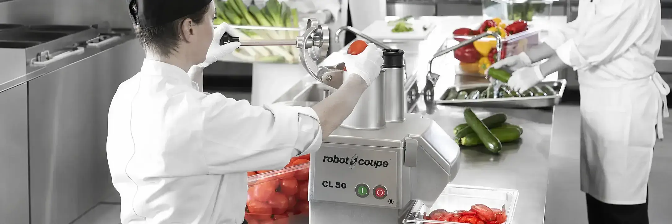 Banner Home Ramesia Robot Coupe